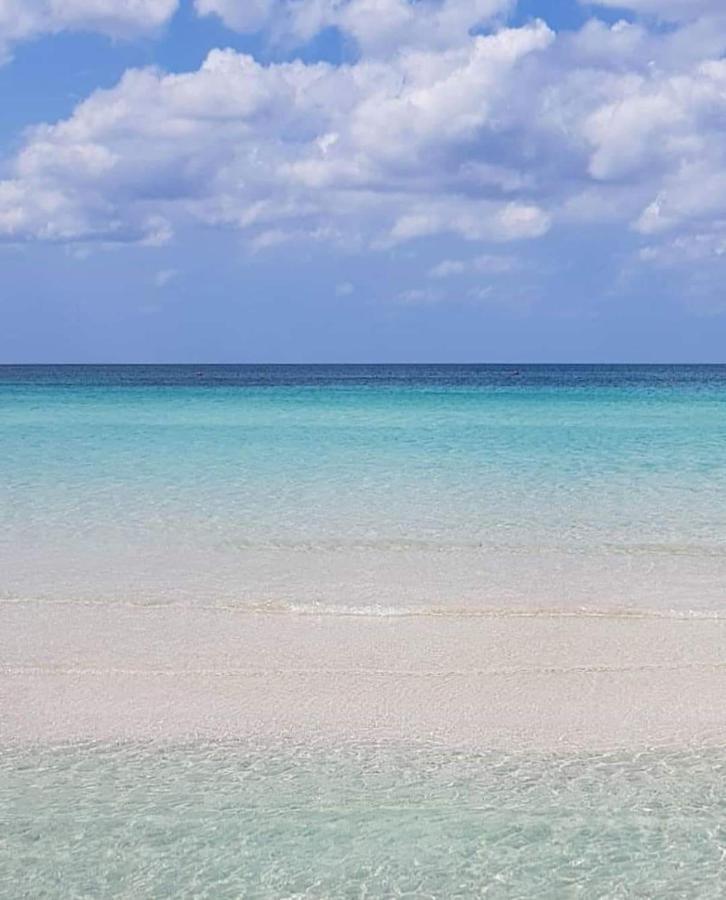 Manidibianco Apulian Relaxing Stay Turi Esterno foto
